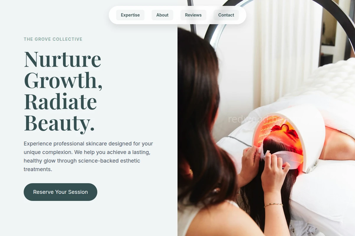 Mist Esthetician